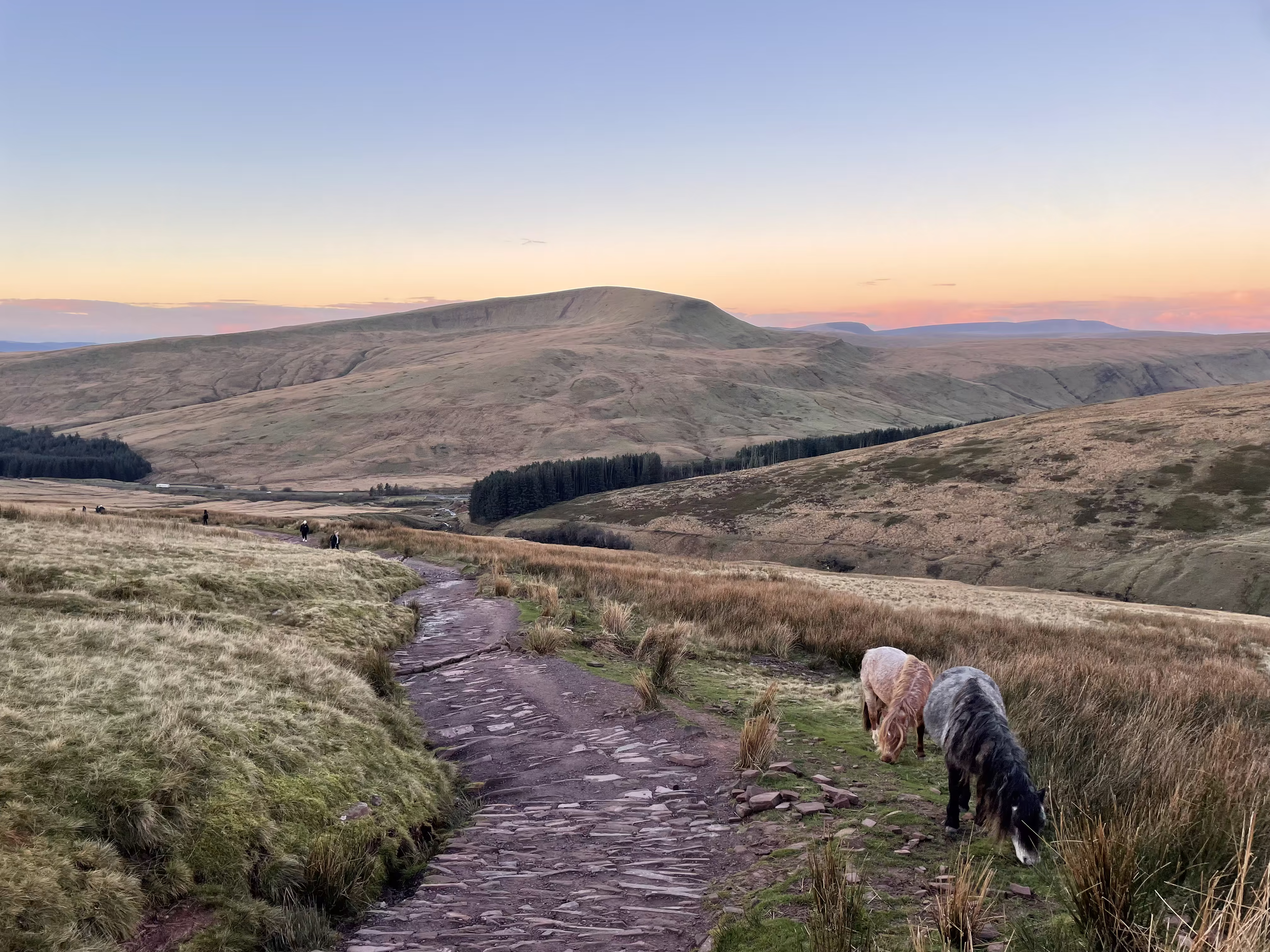 Sunrise view from Pen Y Fan featuring some Carneddau ponies